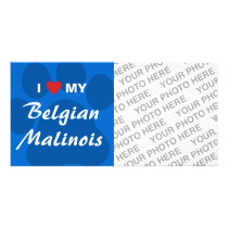 I Love (Heart) My Belgian Malinois Pawprint