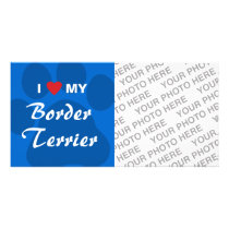 I Love (Heart) My Border Terrier