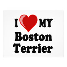 I Love (Heart) My Boston Terrier Dog Custom Announcement