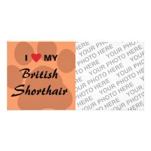 I Love (Heart) My British Shorthair Customized Photo Card