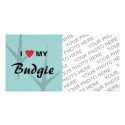 I Love (Heart) My Budgie Bird Tracks Design photo cards