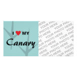 I Love (Heart) My Canary Bird Tracks Design photo cards