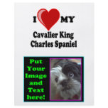 I Love (Heart) My Cavalier King Charles Spaniel flyers