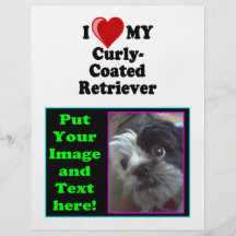 I Love (Heart) My Curly-Coated Retriever Dog Full Color Flyer