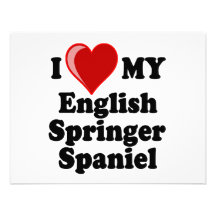 I Love (Heart) My English Springer Spaniel Dog Custom Invites