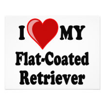 I Love (Heart) My Flat-Coated Retriever Dog Personalised Invite