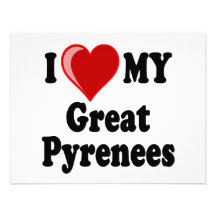I Love (Heart) My Great Pyrenees Dog Personalized Announcement