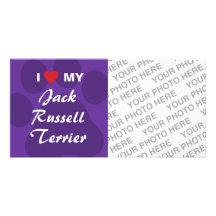 I Love (Heart) My Jack Russell Terrier Photo Cards
