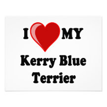 I Love (Heart) My Kerry Blue Terrier Dog Invitations