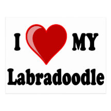 I Love (Heart) My Labradoodle Dog Postcard