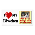 I Love (Heart) My Löwchen Dog photo cards