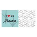 I Love (Heart) My Macaw Bird Tracks Design photo cards