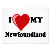 I Love (Heart) My Newfoundland Dog Personalised Announcement