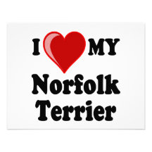 I Love (Heart) My Norfolk Terrier Dog Personalized Invites