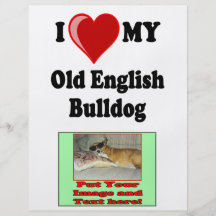 I Love (Heart) My Old English Bulldog Dog Personalised Flyer