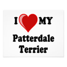 I Love (Heart) My Patterdale Terrier Dog Personalized Announcements