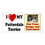 I Love (Heart) My Patterdale Terrier Dog photo cards