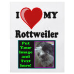I Love (Heart) My Rottweiler Water Dog flyers