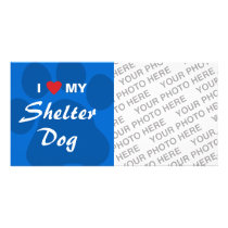 I Love (Heart) My Shelter Dog