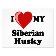 I Love (Heart) My Siberian Husky Dog Custom Invite