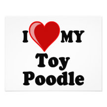 I Love (Heart) My Toy Poodle Dog Invitation
