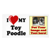 I Love (Heart) My Toy Poodle Dog Customized Photo Card
