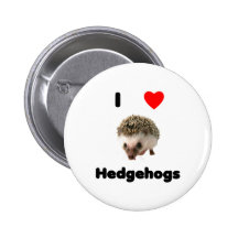 I love hedgehogs Button