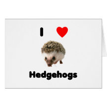 I love hedgehogs cards