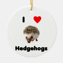 I love hedgehogs christmas tree ornament