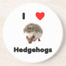 I love hedgehogs coasters