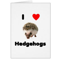 I love hedgehogs greeting card
