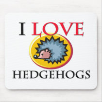 I Love Hedgehogs