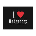 I love Hedgehogs postcards