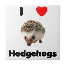 I love hedgehogs tile