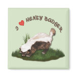 I Love Honey Badger