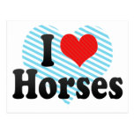 I Love Horses Postcards