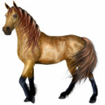 ♥ I Love Horse's ♥ Pretty Horse (Design Y) photo sculptures