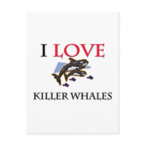 I Love Killer Whales Post Cards