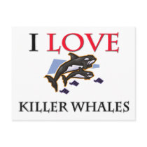 I Love Killer Whales Post Cards