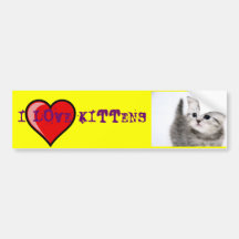 i love kittens bumper sticker