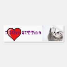 i love kittens bumper stickers