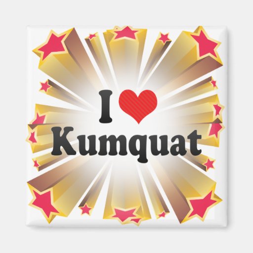 I Love Kumquat Refrigerator Magnets