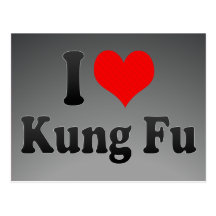 I love Kung Fu Post Card