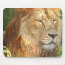 I Love Lions Mouse Pad