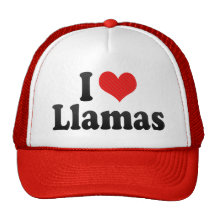 I Love Llamas Mesh Hats