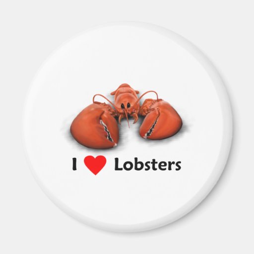 I love Lobsters Refrigerator Magnet