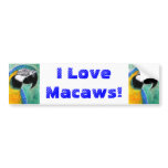 I Love Macaws! bumper stickers