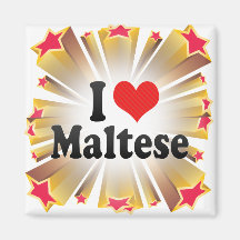 I Love Maltese Magnets
