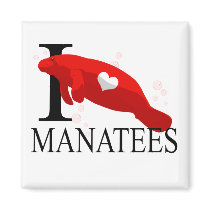 I Love Manatees Magnets