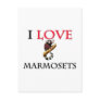 I Love Marmosets